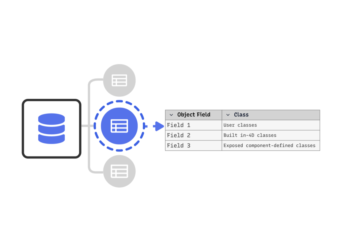 4D DATABASE